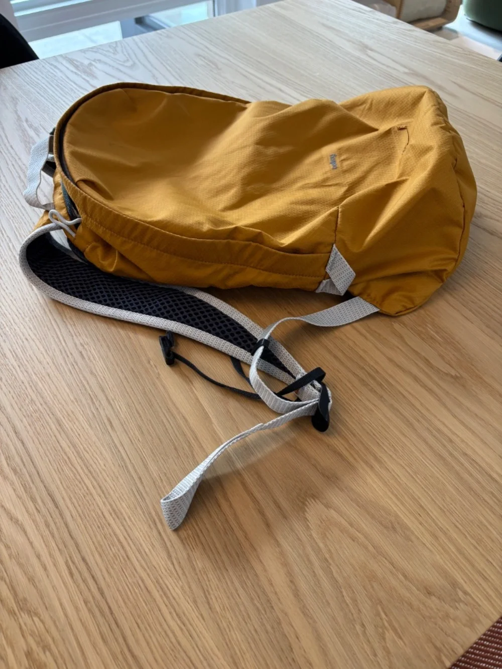 Bellroy Lite Daypack 20L Backpack in discontinued Mustard/Orange colorway